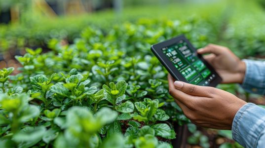IoT, agro, agrícola, thingworx, ptc