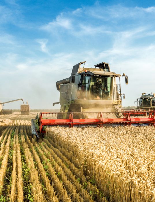 trator agrícola, trator no campo, maquinário agrícola, mecanização agrícola, agricultura moderna, trator arando, colheita mecanizada, preparo do solo, tecnologia no campo, trator de grande porte, produção agrícola, trator em lavoura, agro brasil, trator fazenda, eficiência agrícola trator agrícola, trator no campo, maquinário agrícola, mecanização agrícola, agricultura moderna, trator arando, colheita mecanizada, preparo do solo, tecnologia no campo, trator de grande porte, produção agrícola, trator em lavoura, agro brasil, trator fazenda, eficiência agrícola